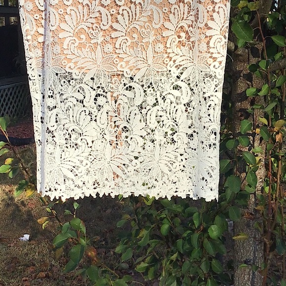 White House Black Market Cream Lace With Nude Lining Pencil Skirt - Picture 2 of 12